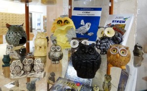 В Уфе открылась выставка «Мудрая птица: «совомания» Полины Полежанкиной»